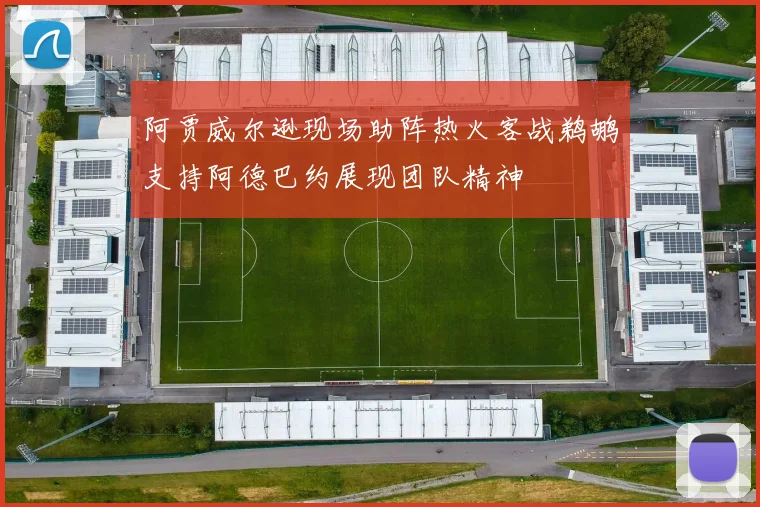 阿贾威尔逊现场助阵热火客战鹈鹕支持阿德巴约展现团队精神